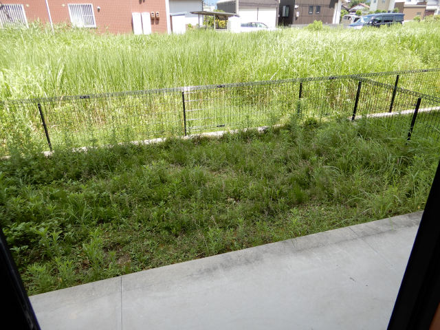 拡大してご覧になれます